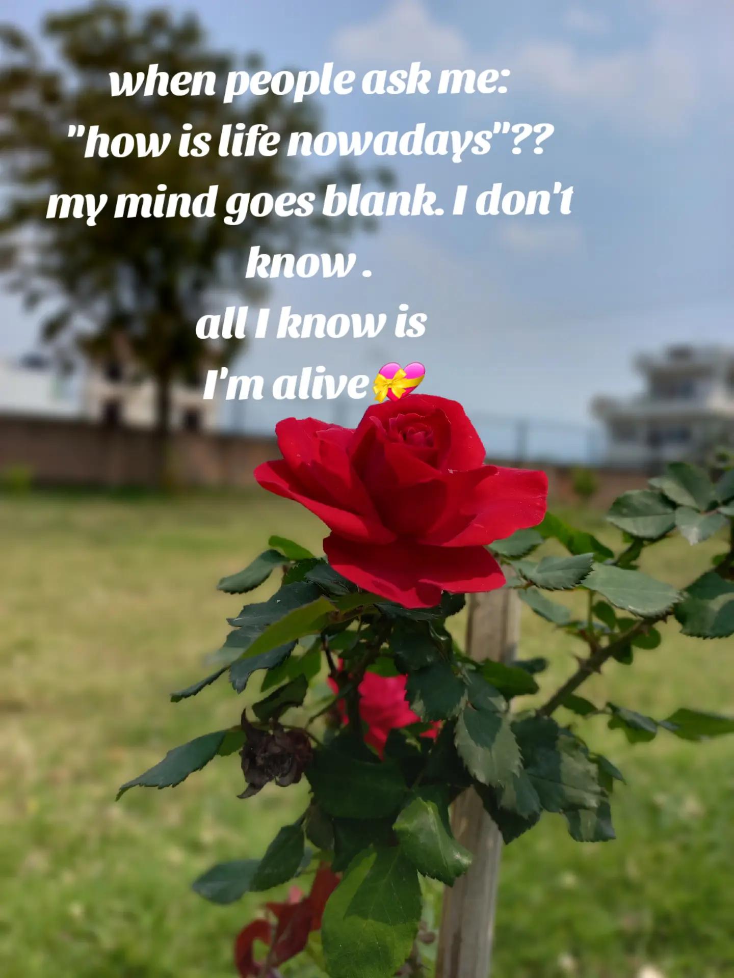 @11.11💐💐