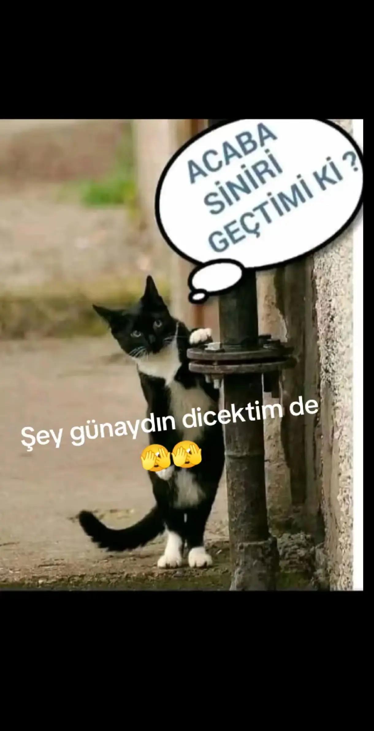 @💙LEYLA❤️ SULTAN 💙