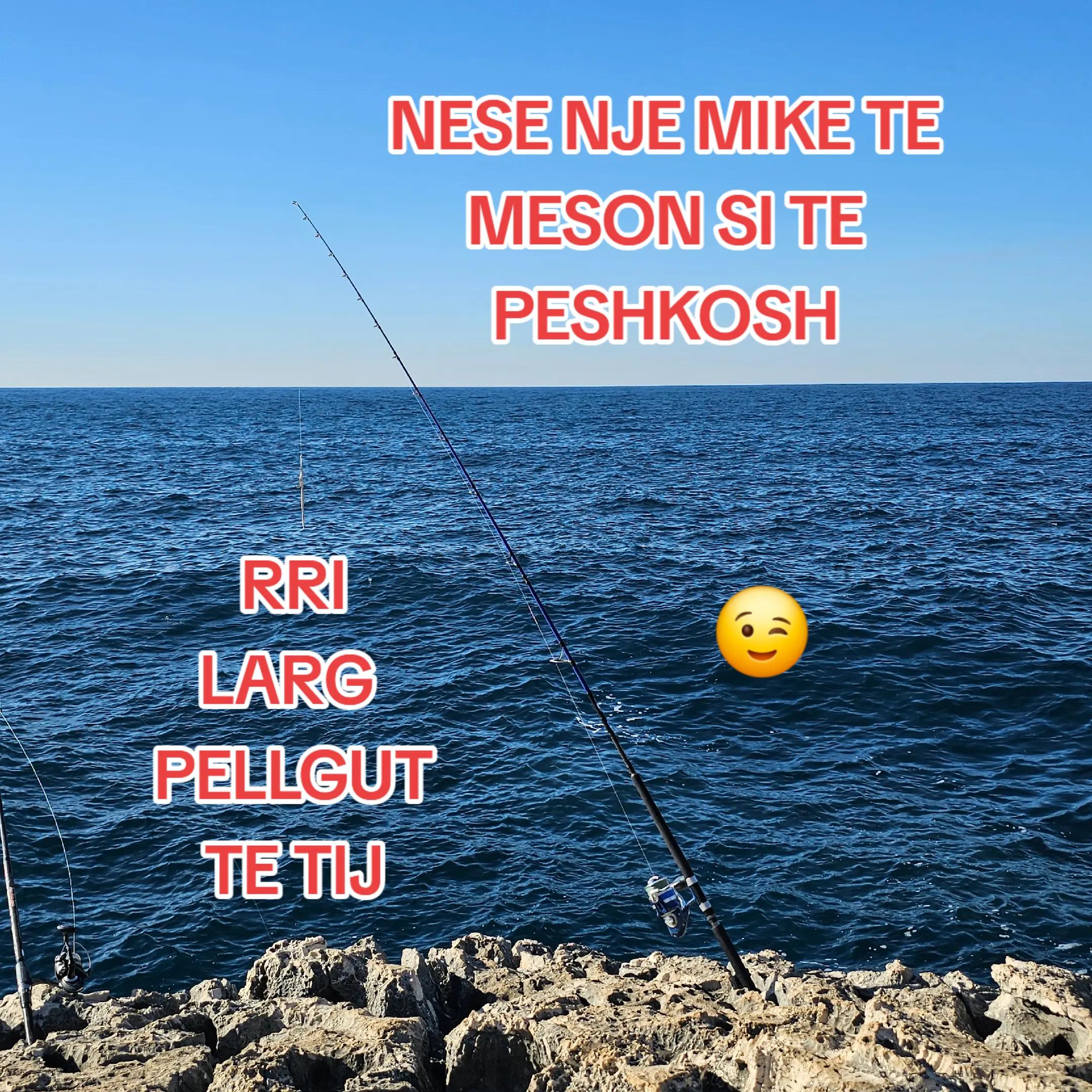 @Saimir