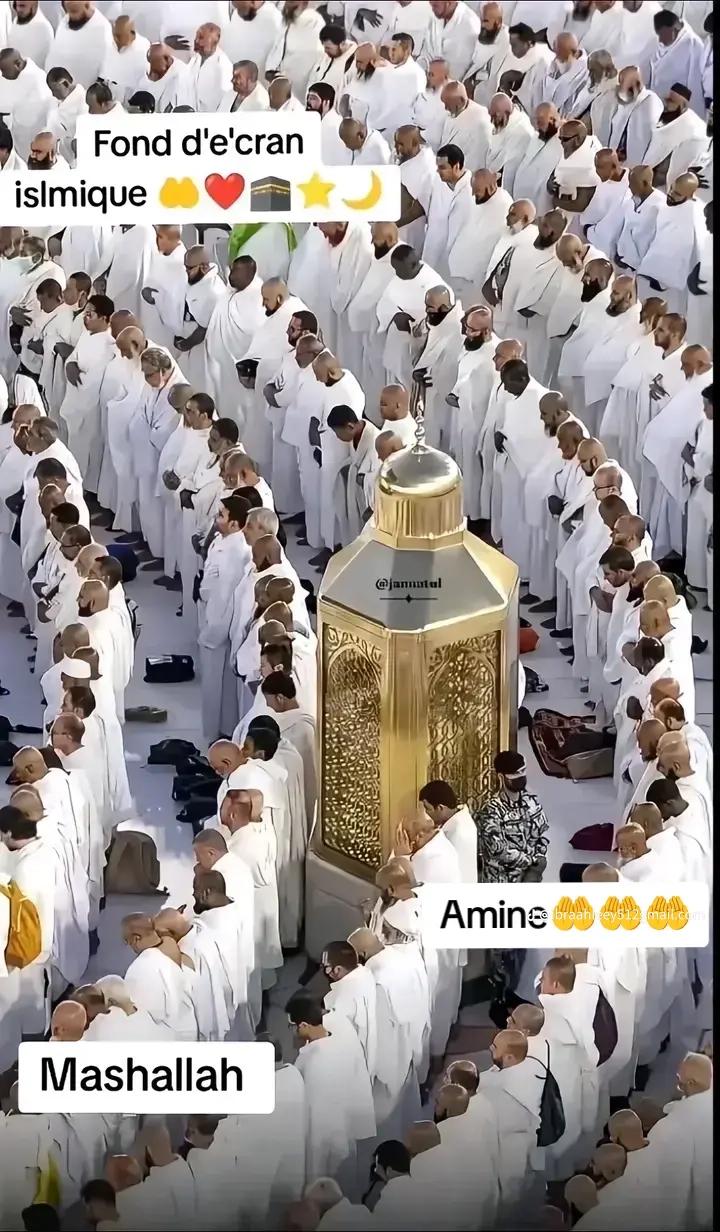 @Mjapani shaz