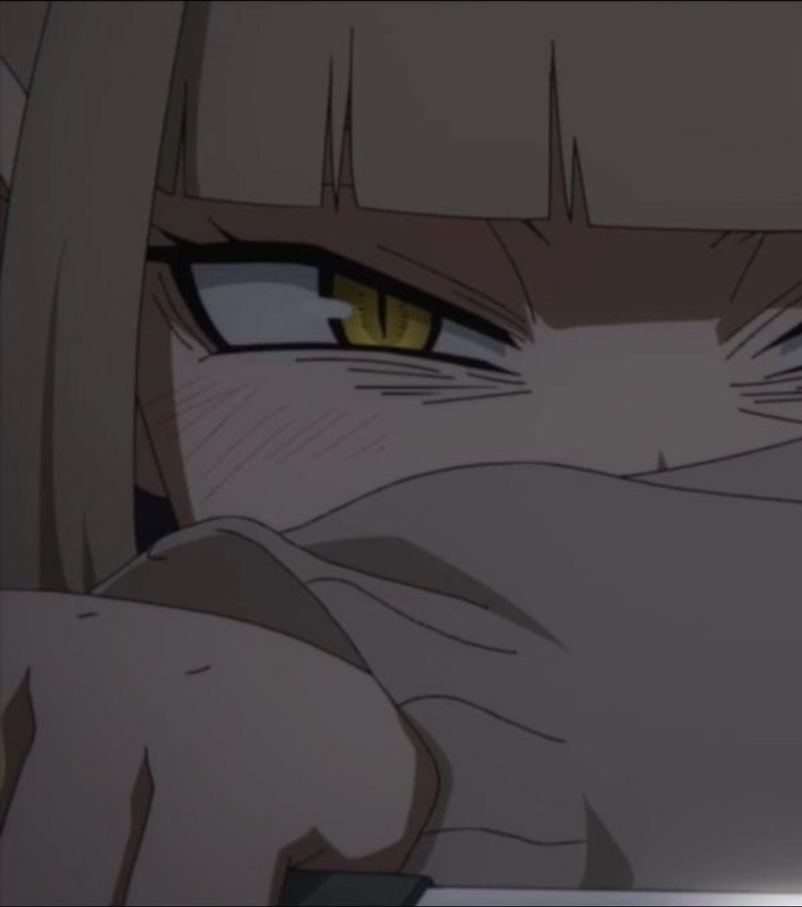 @Vamp ꒰ #1 Himiko Toga fan ⦻.ᐟ