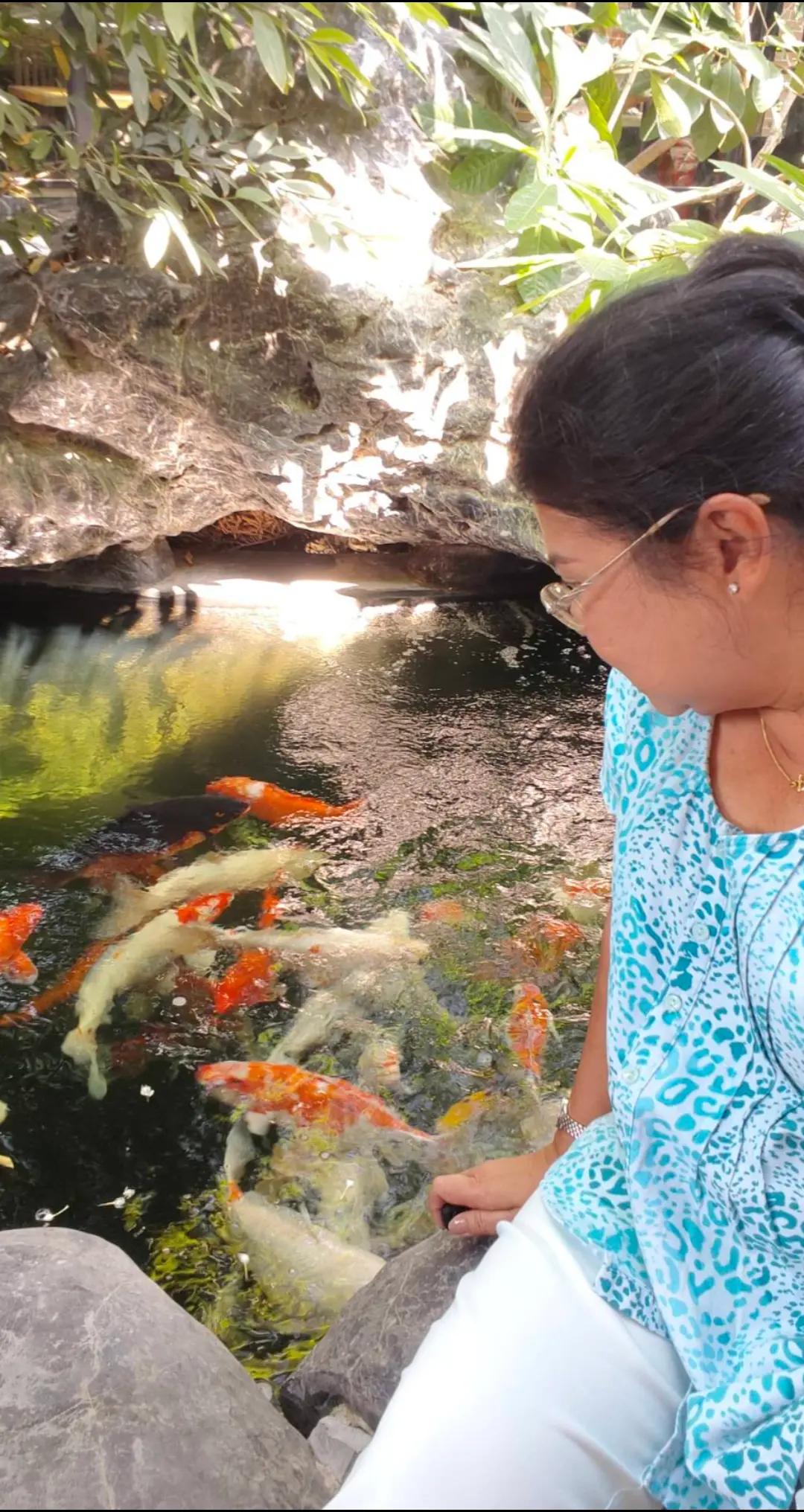@duck