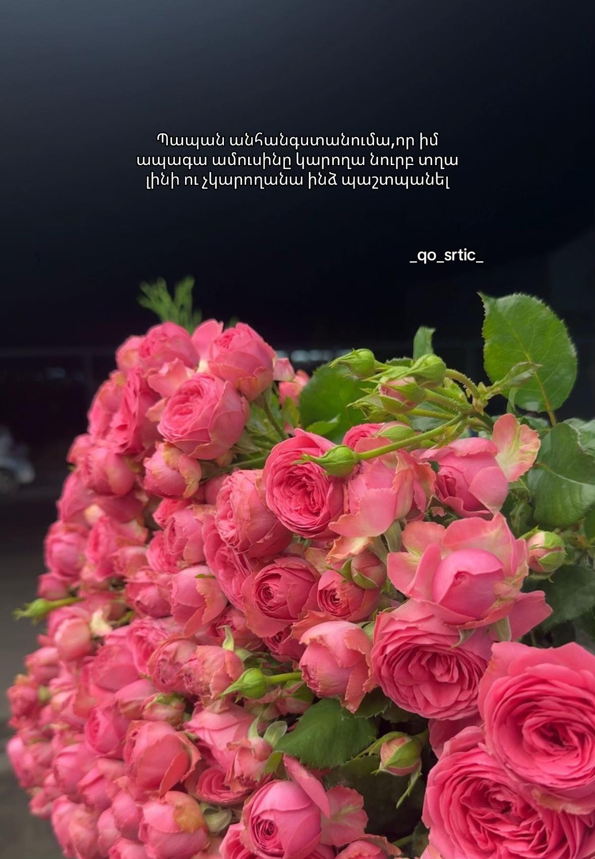 @_qo_srtic__