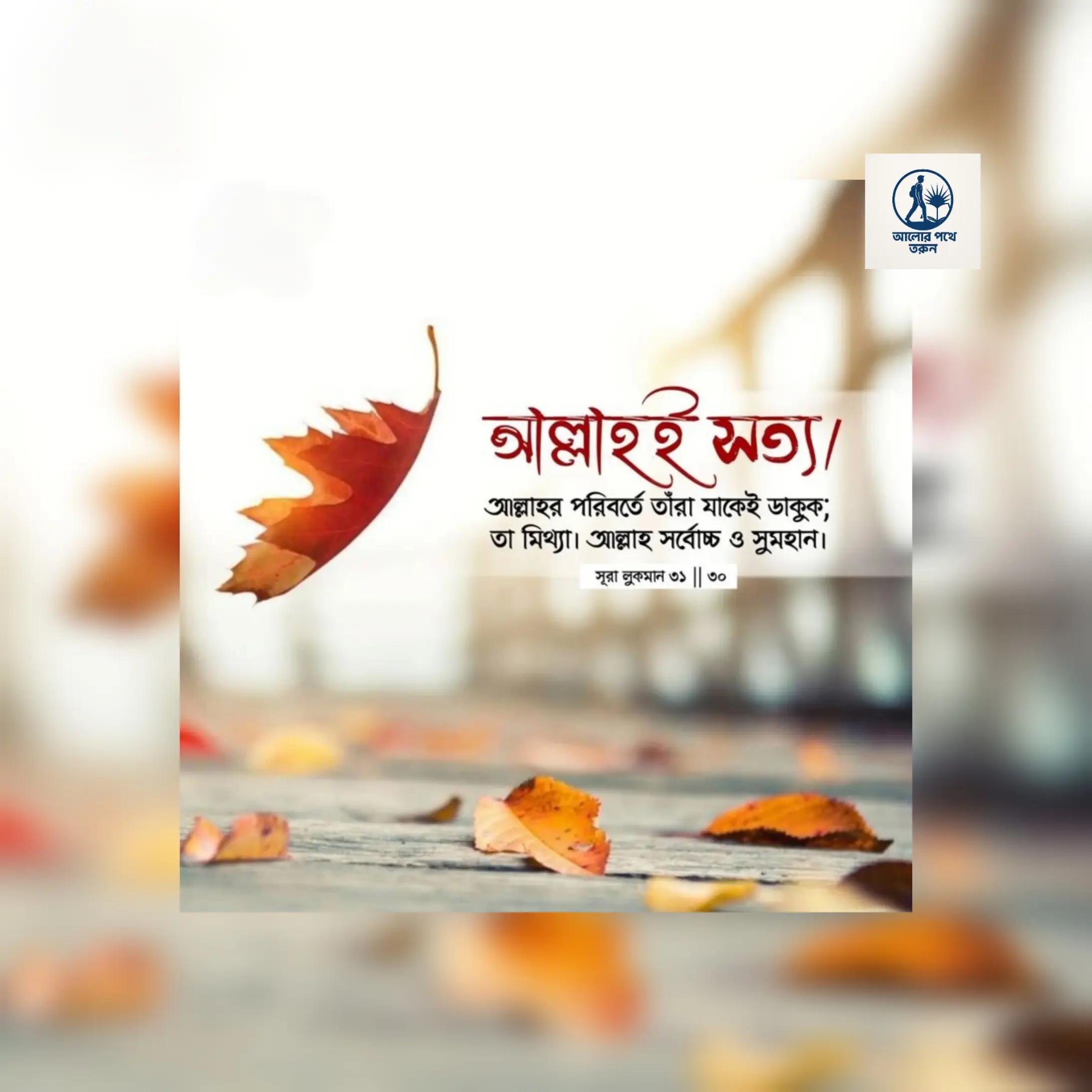 @MD Yasin Arafat