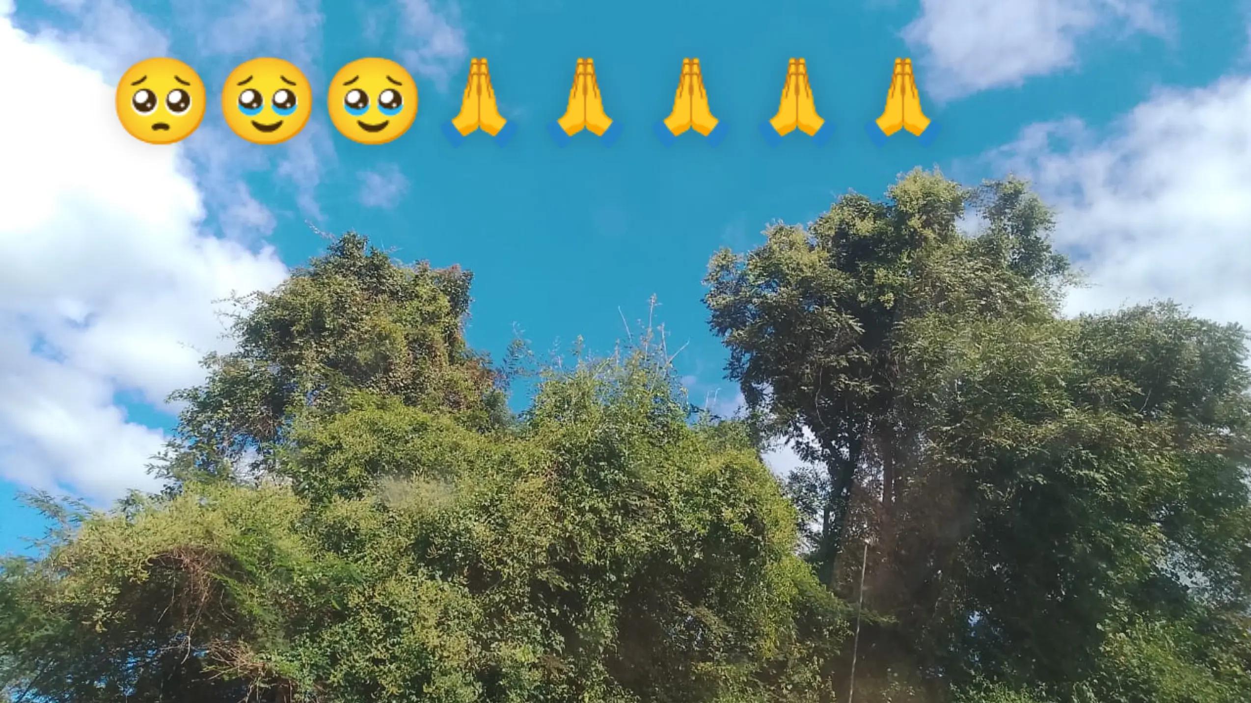 @MARIA MEDINA