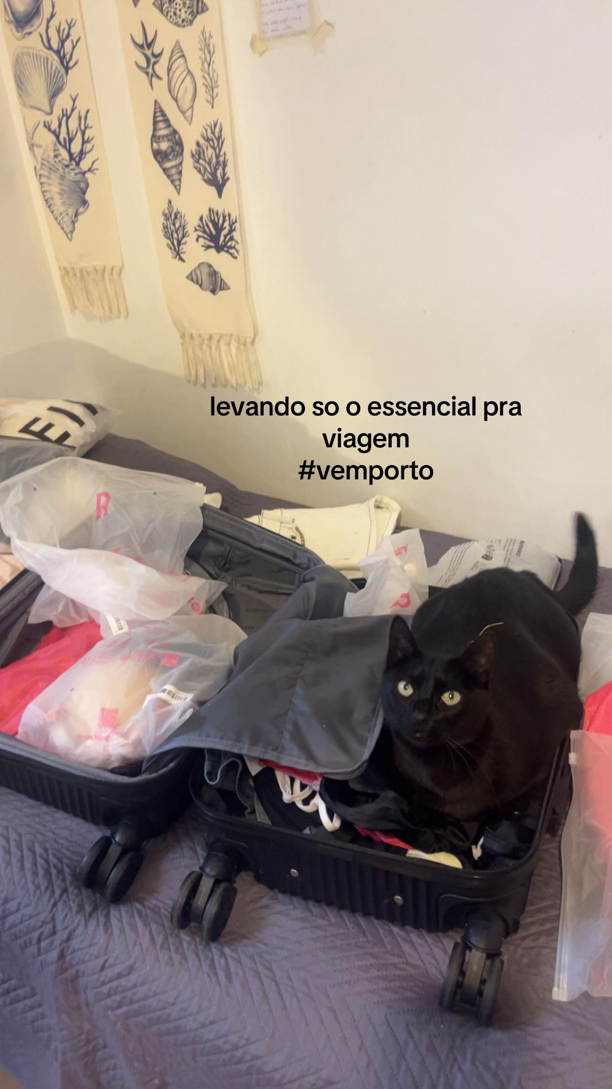 @Alice Lima 🧘♀️