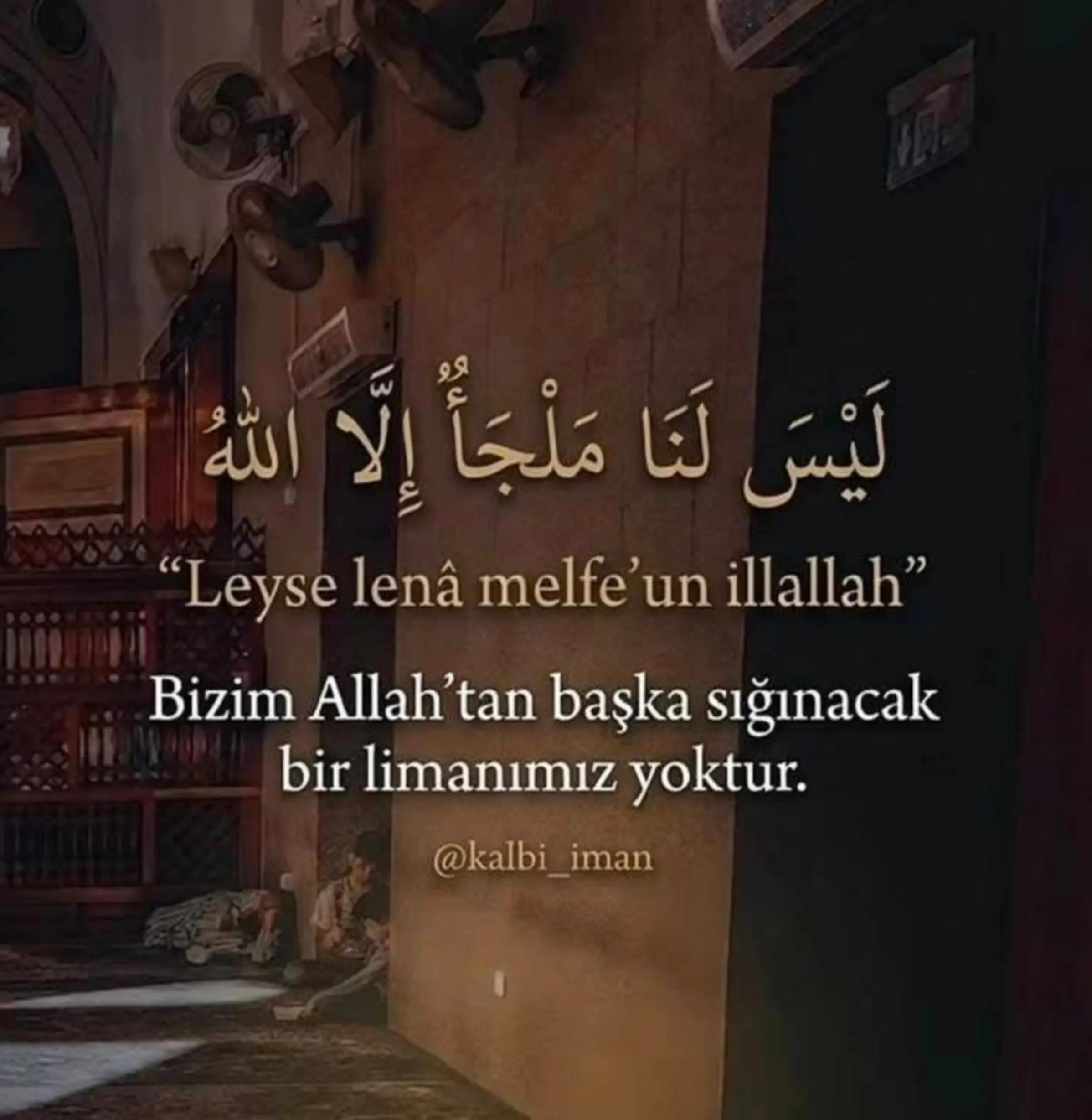 @Ceren Şentürk