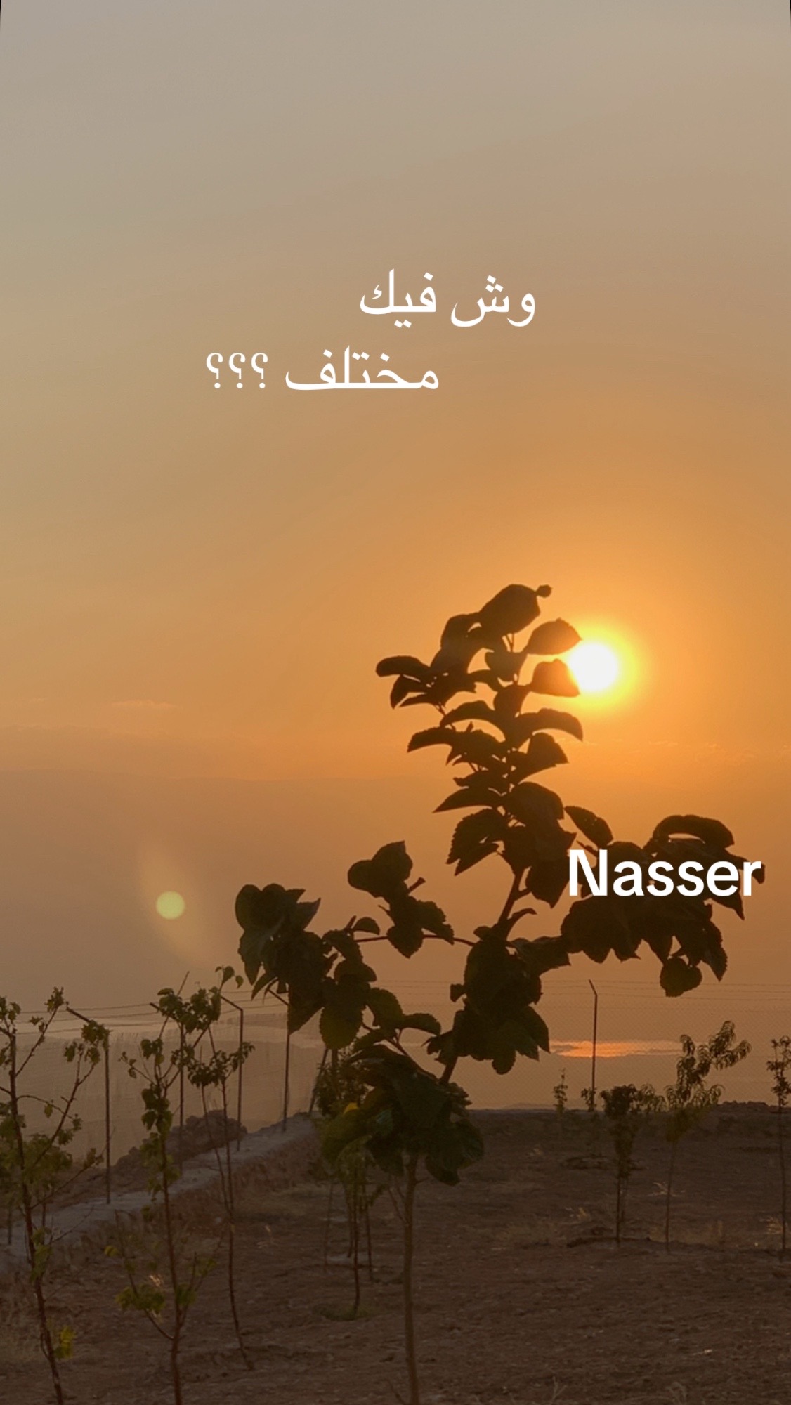 @Nasser