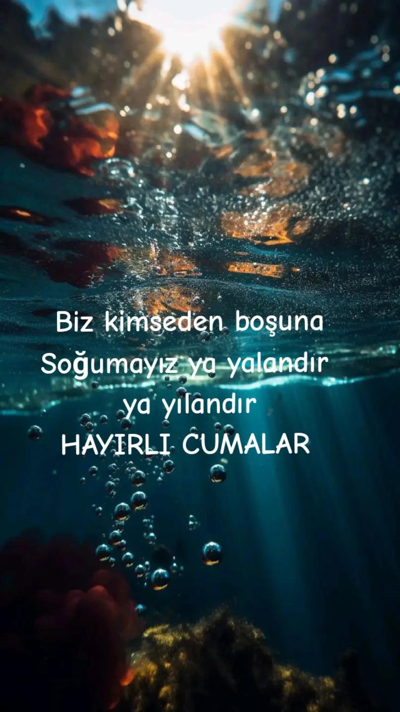 @Fatma Bolat