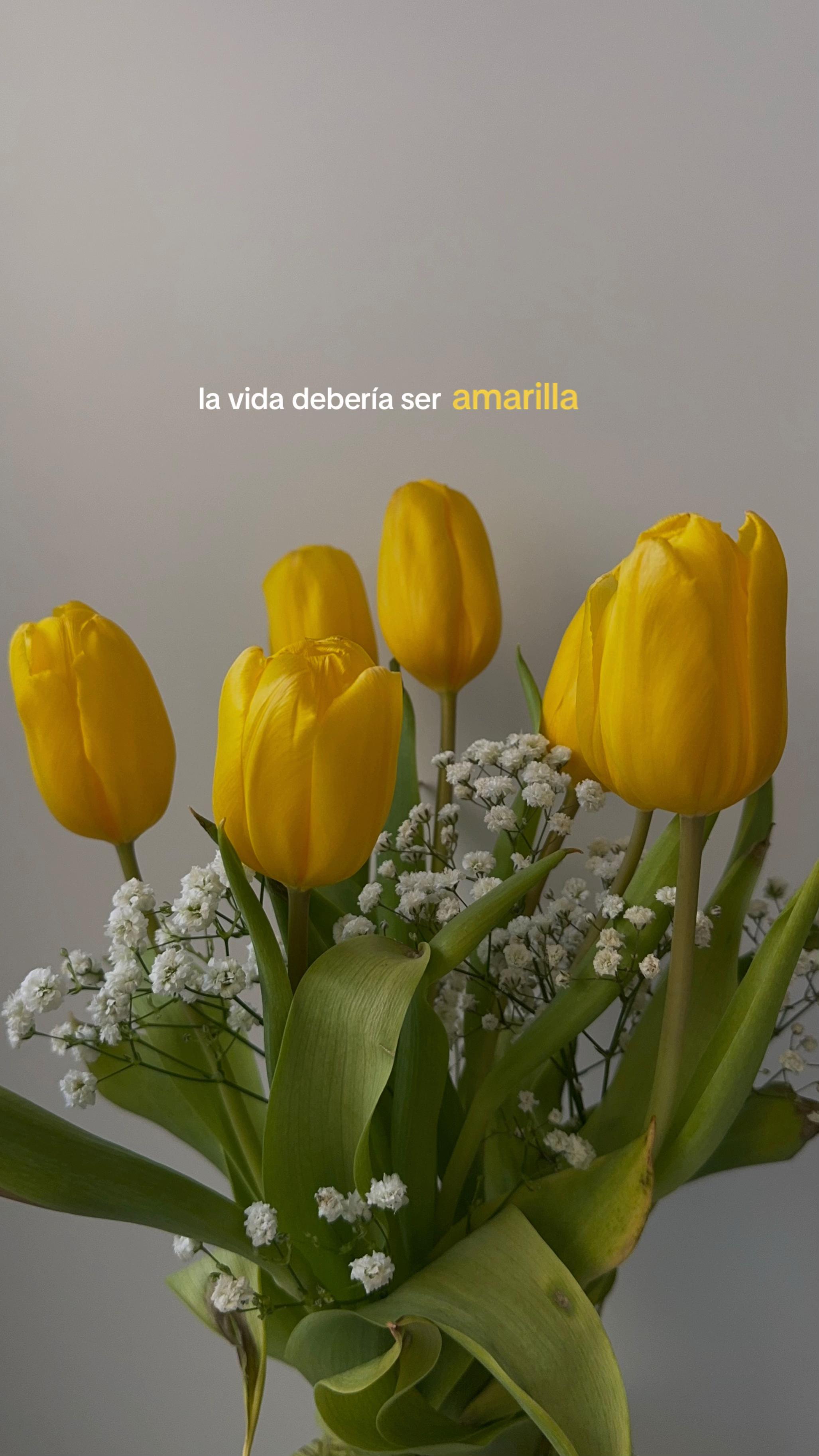 @anita dinamita