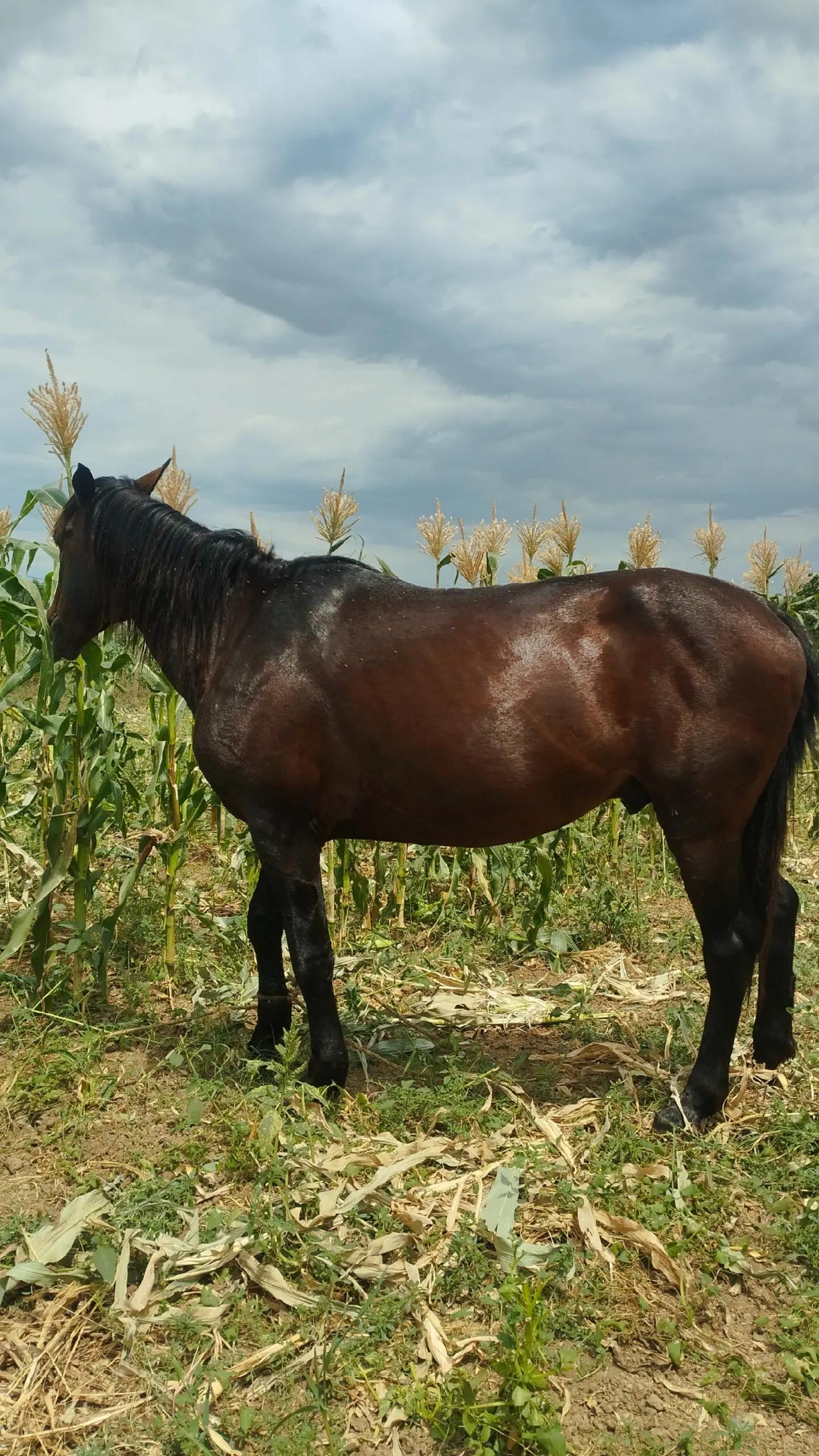 @İsmayıl_749