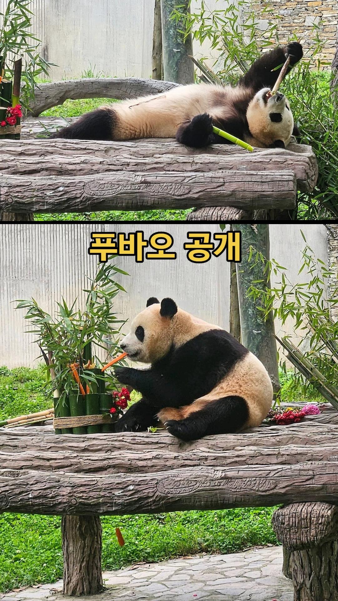 @⏰️ 거꾸로 가는 시계 ⏰️