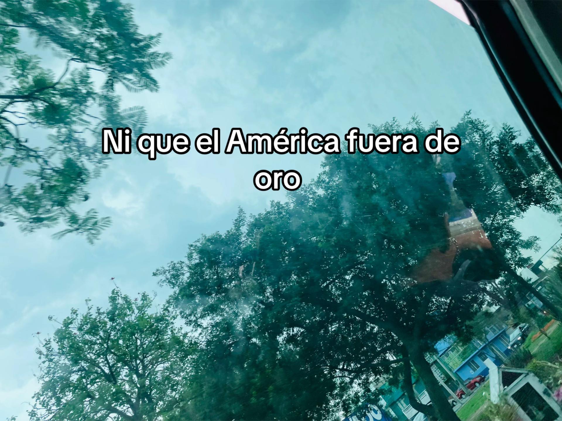 @nicol.14