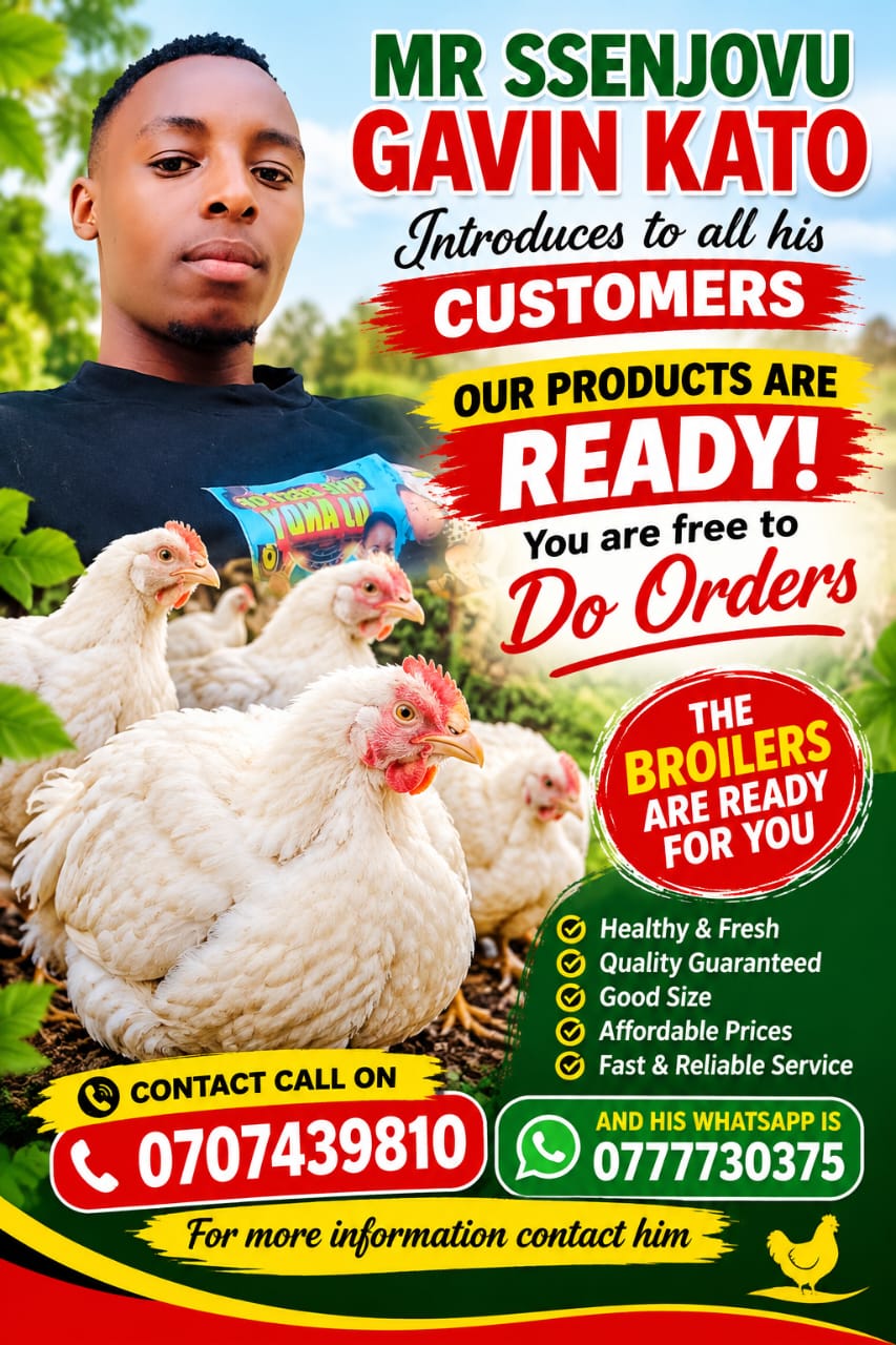 @gavinkato346@gmail.com