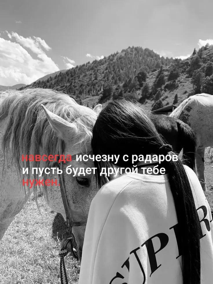 @записки химари🕊️
