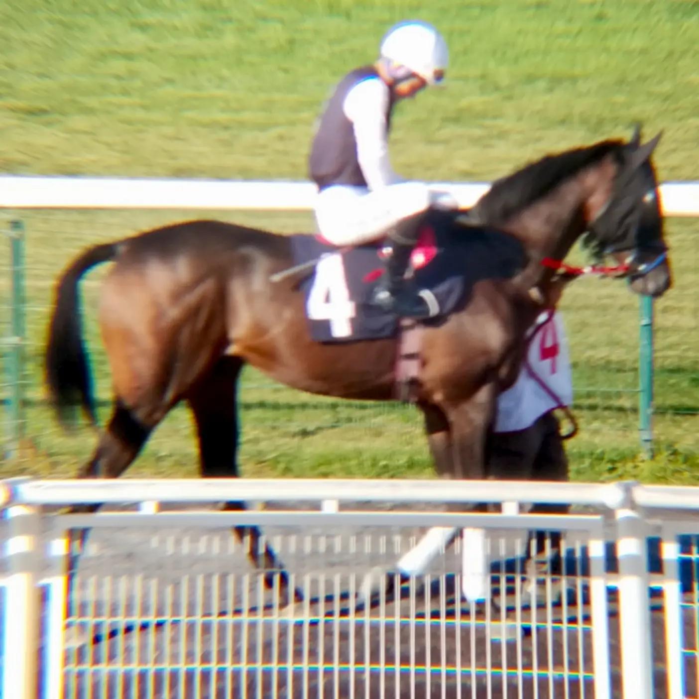 @brs horse racing