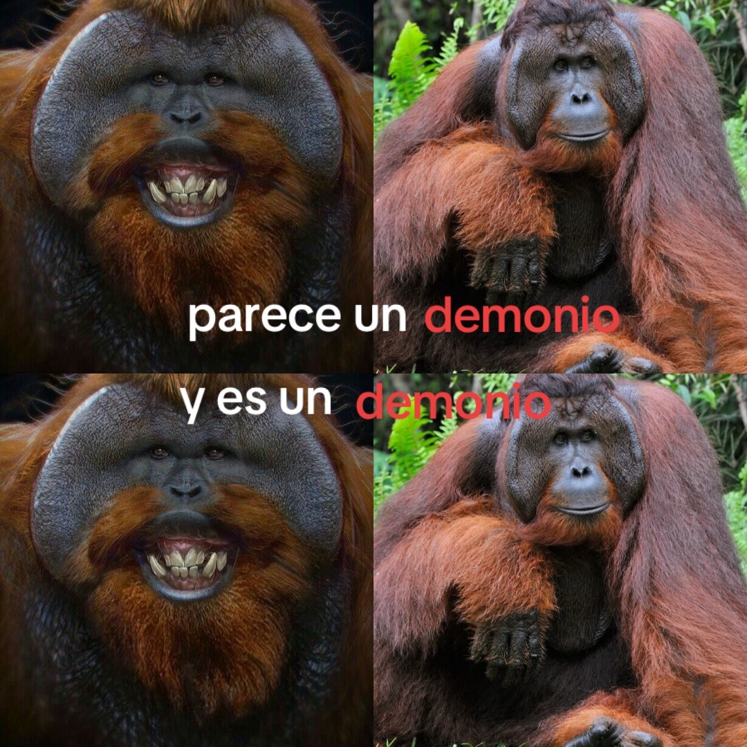 @🥴fresita dulces🥴