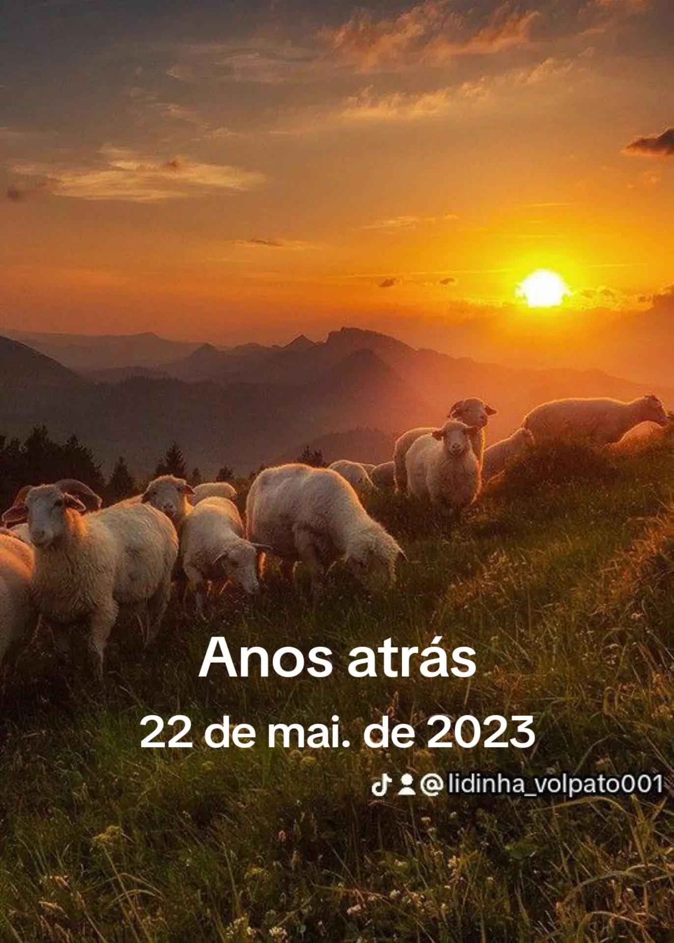 @🇧🇷Lady_smile🌺 🇧🇷🇪🇦🇮🇪