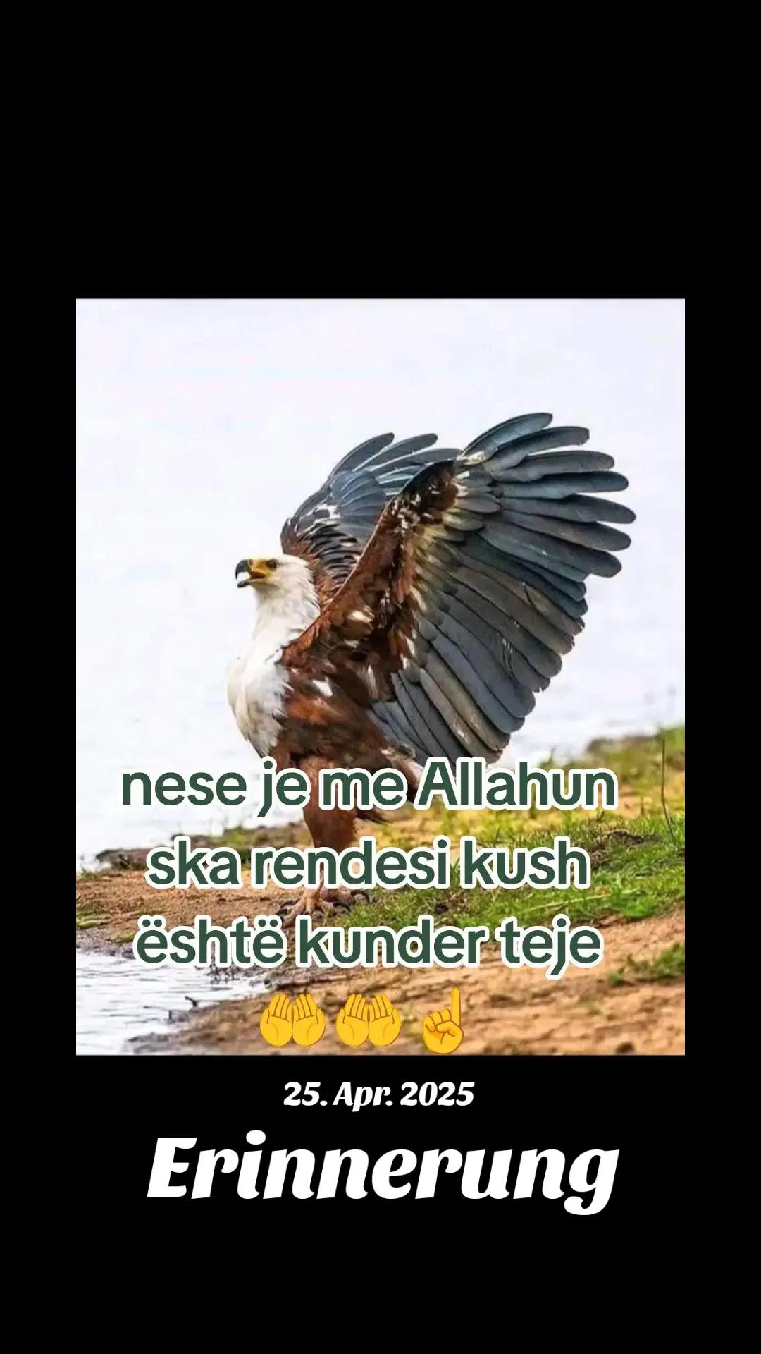 @💎🦅Hysni.Z🦅💎