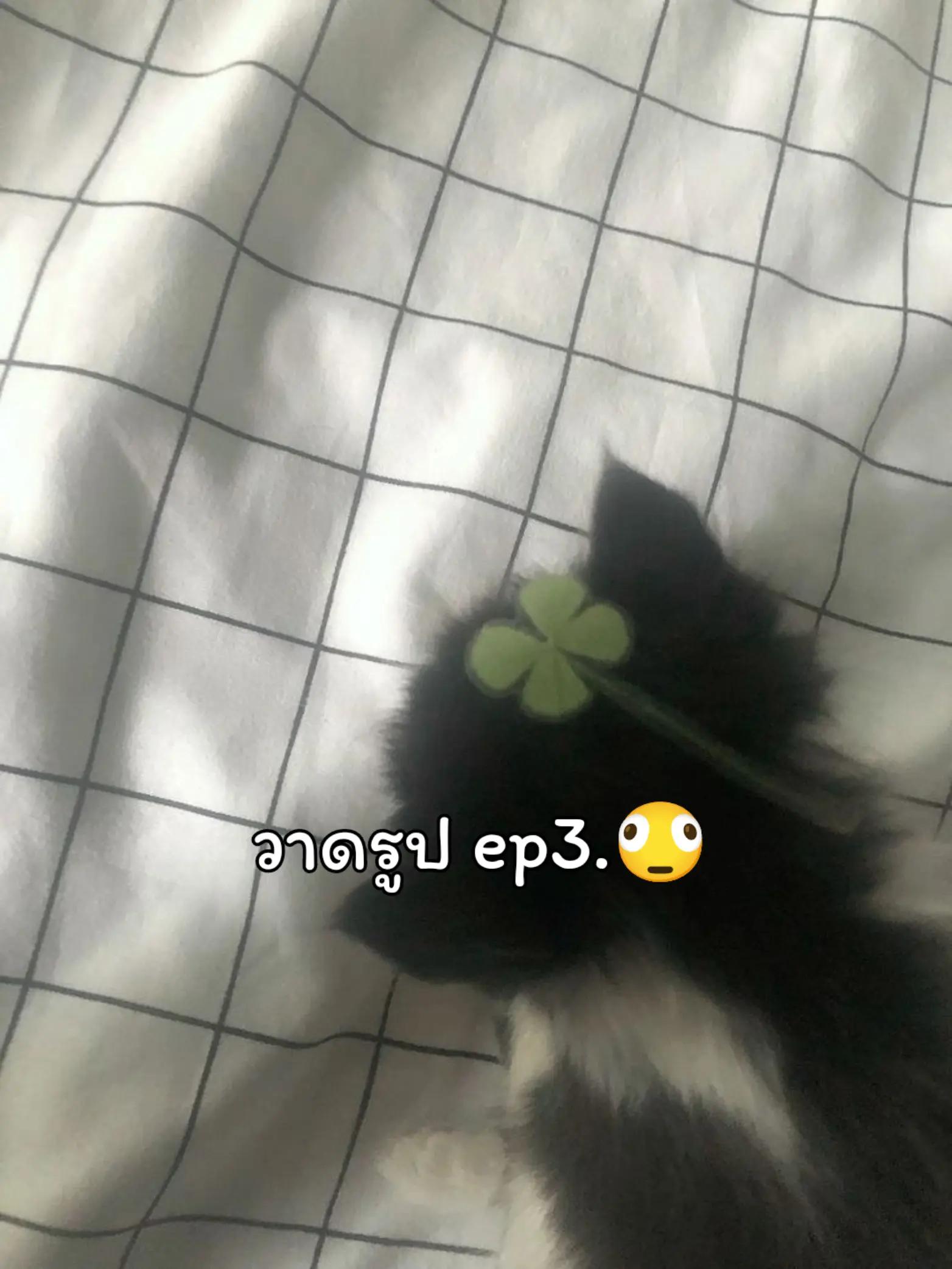 @ℳºõk ♪