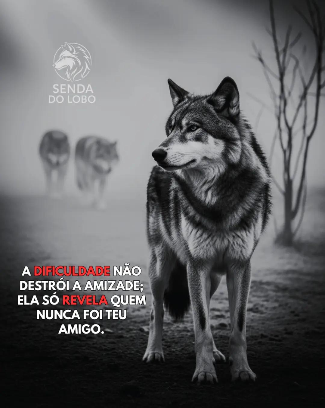 @Senda do Lobo