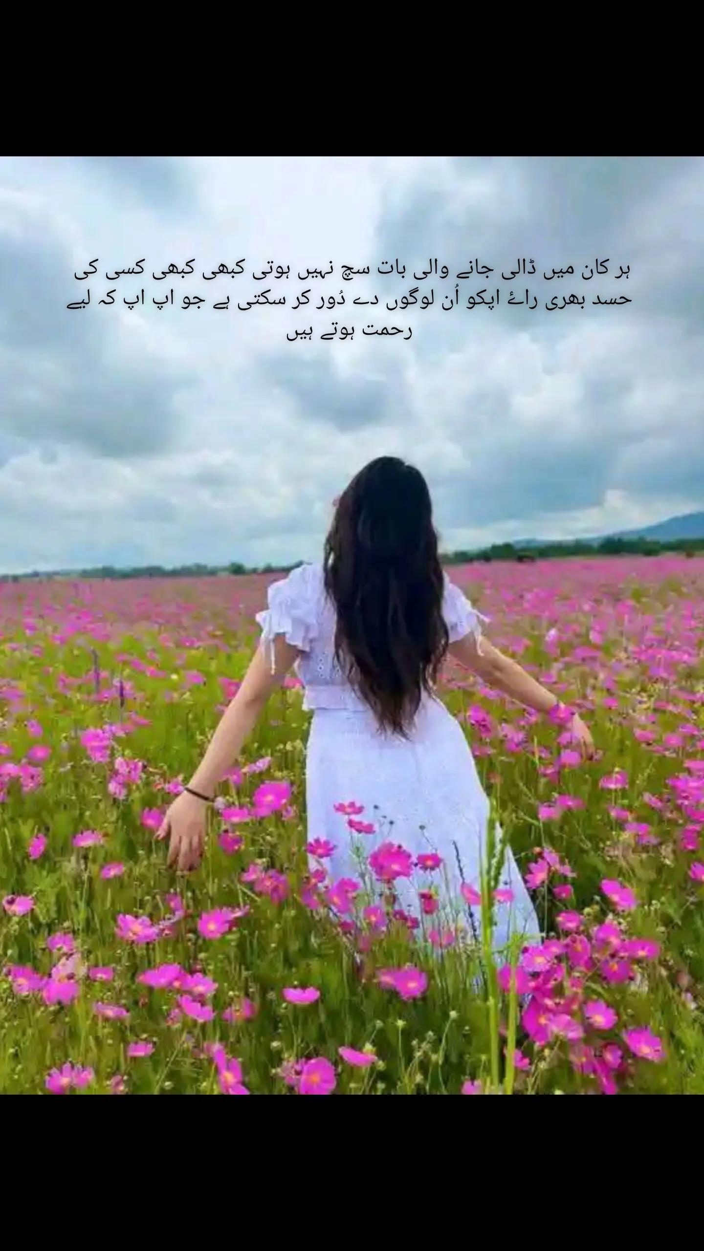 @Fariha Hassaan❤️