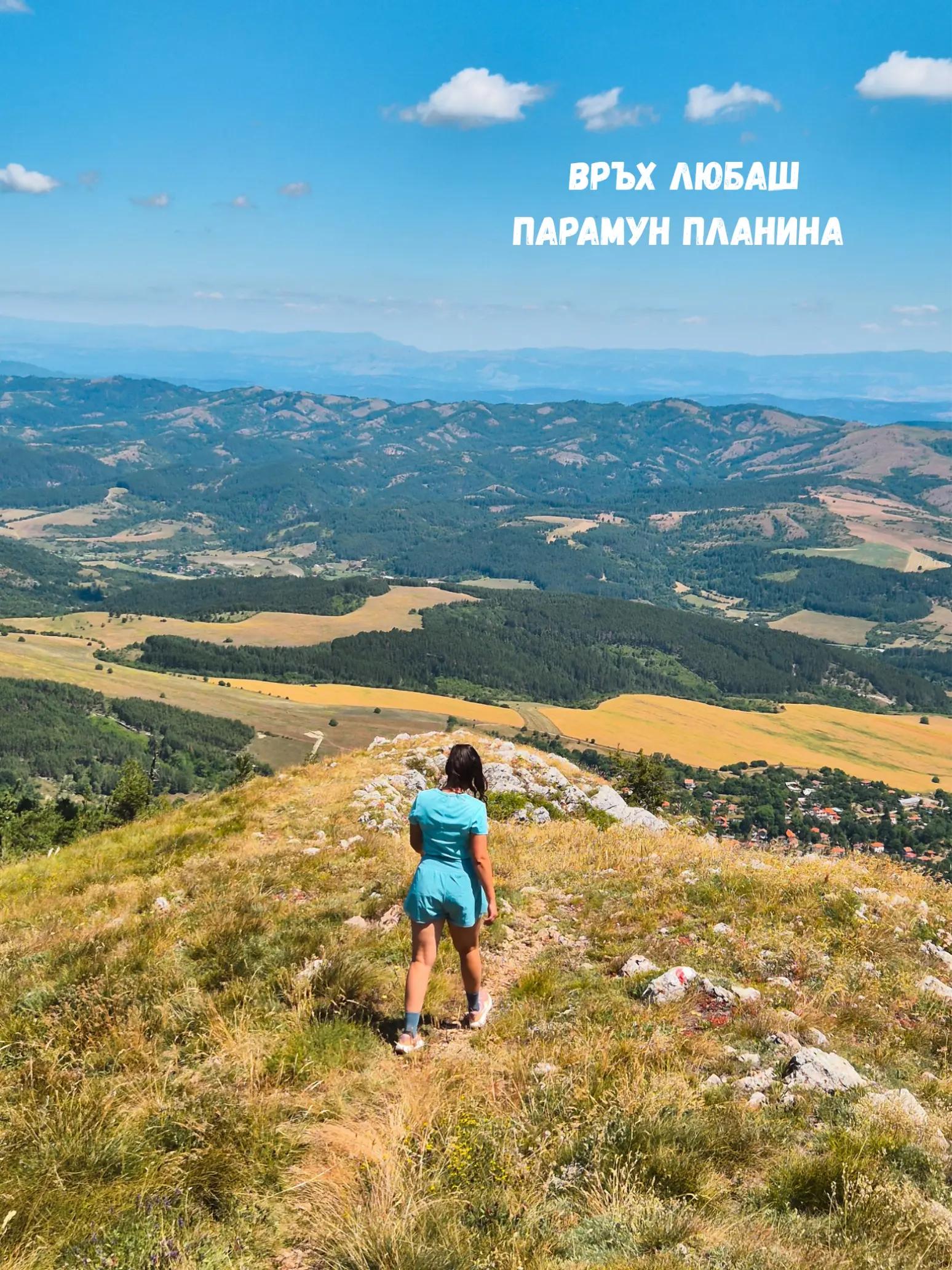 @Zornitsa Ivanova