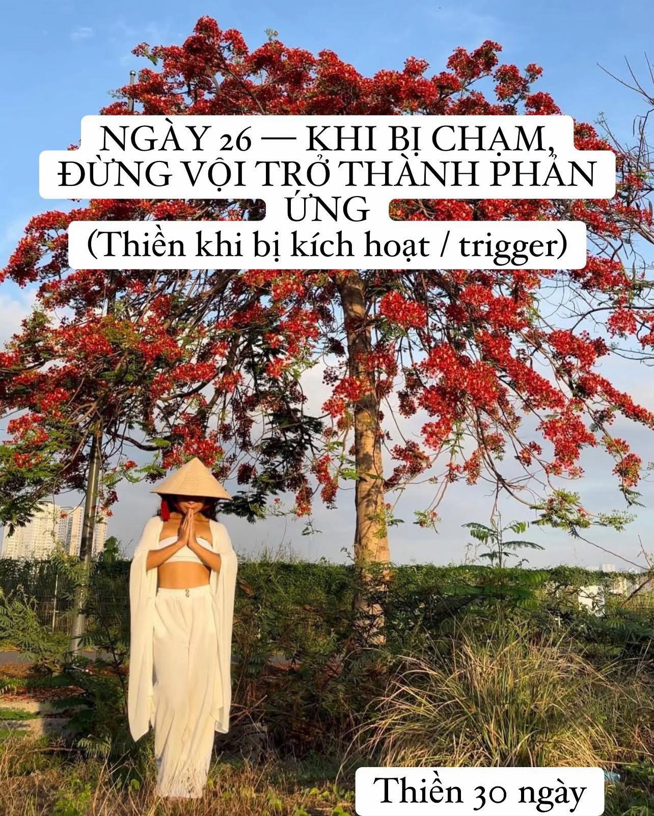 @buihoangbichtho