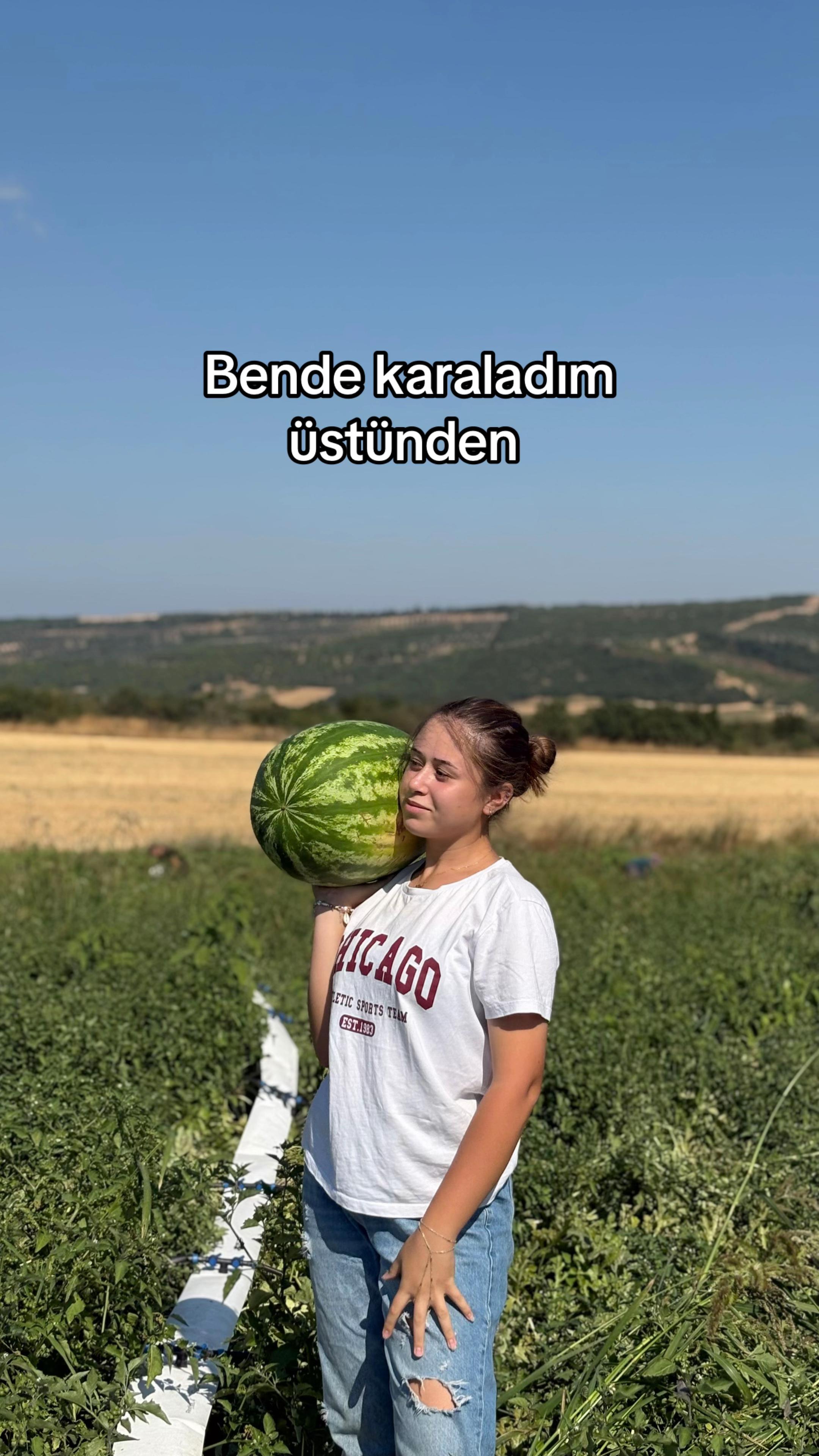 @gozde