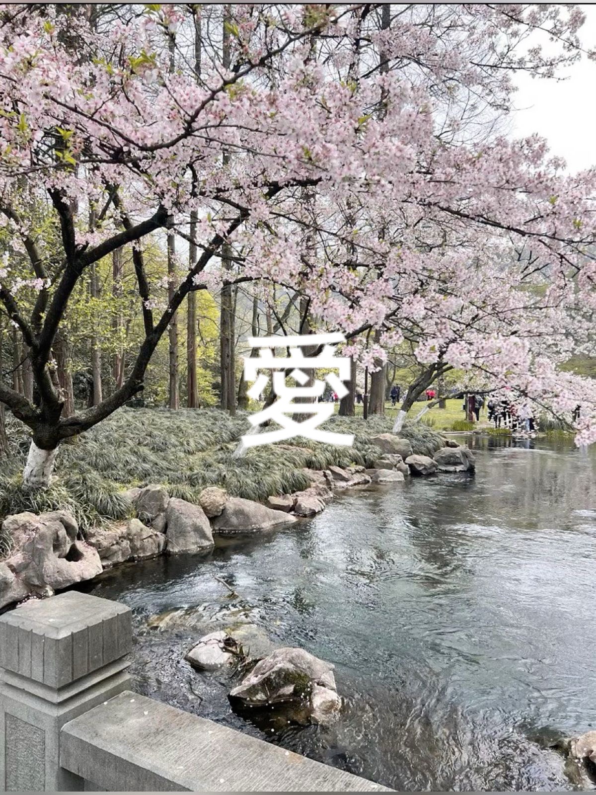 @𝓗𝓮𝓪𝓿3𝓷.𝓵𝓮𝔂