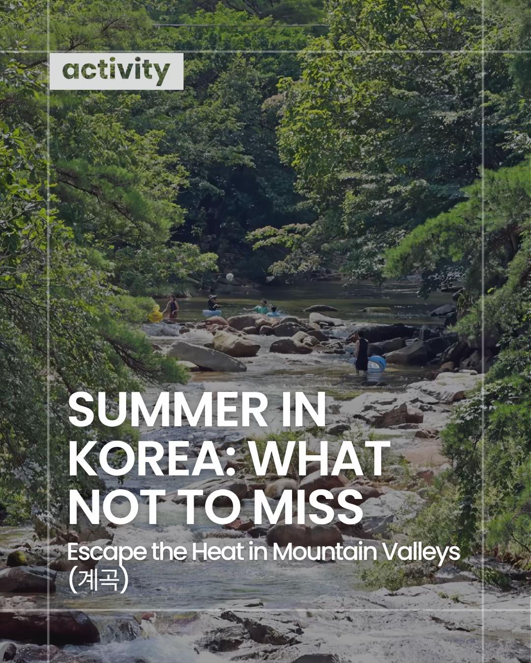 @Korea Insider