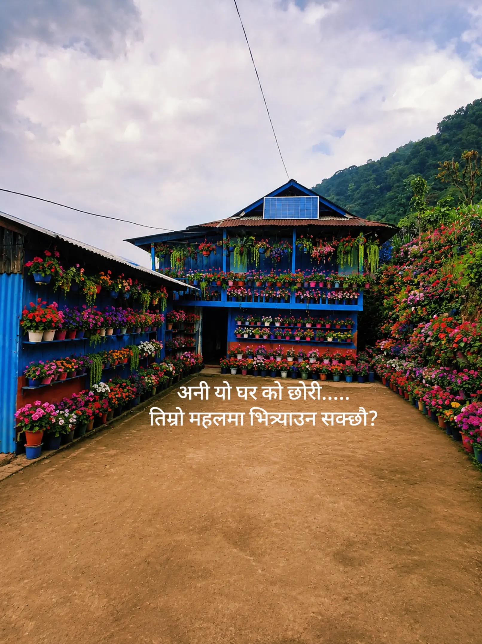 @nishu🦚🫂
