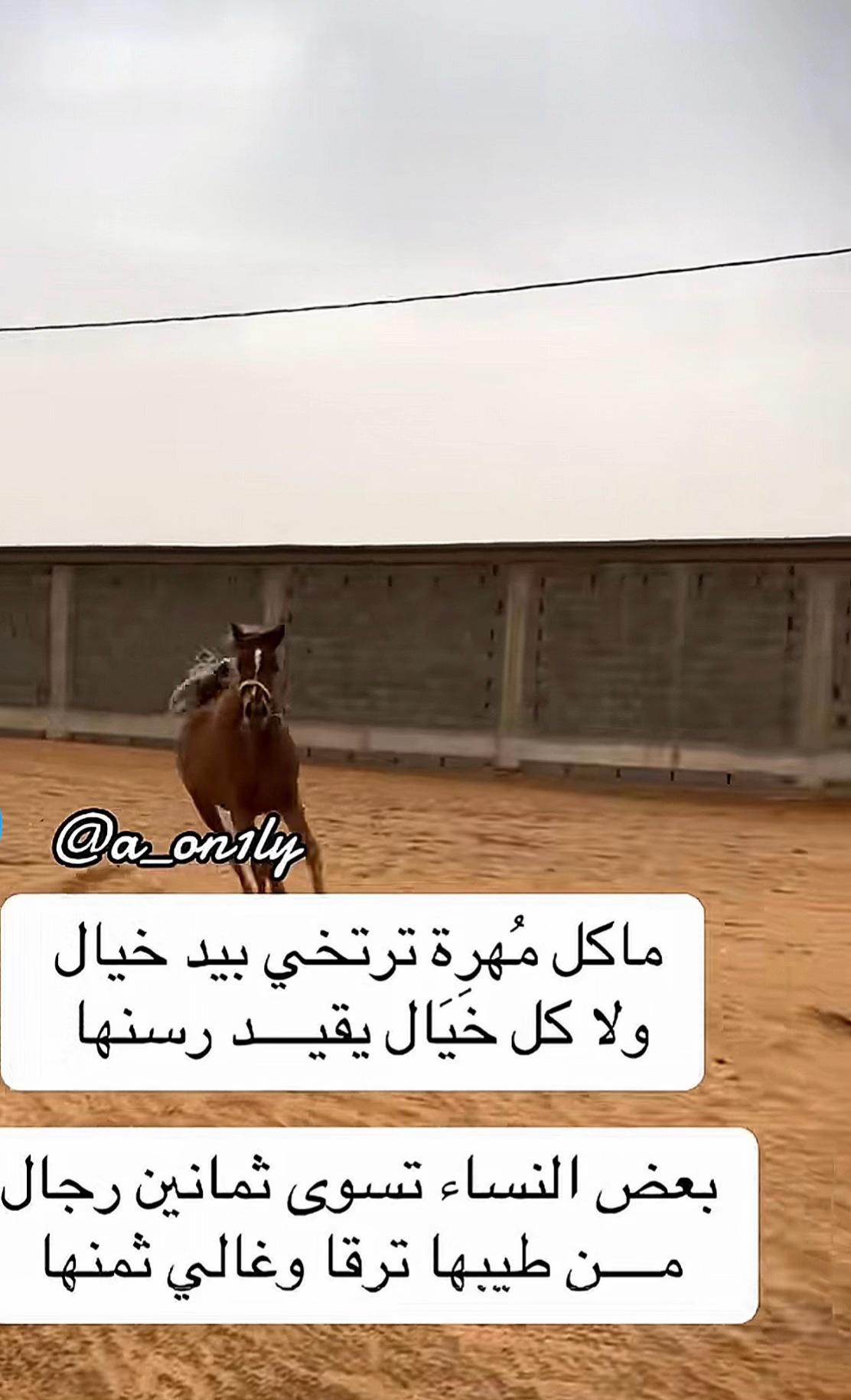 @shamsa