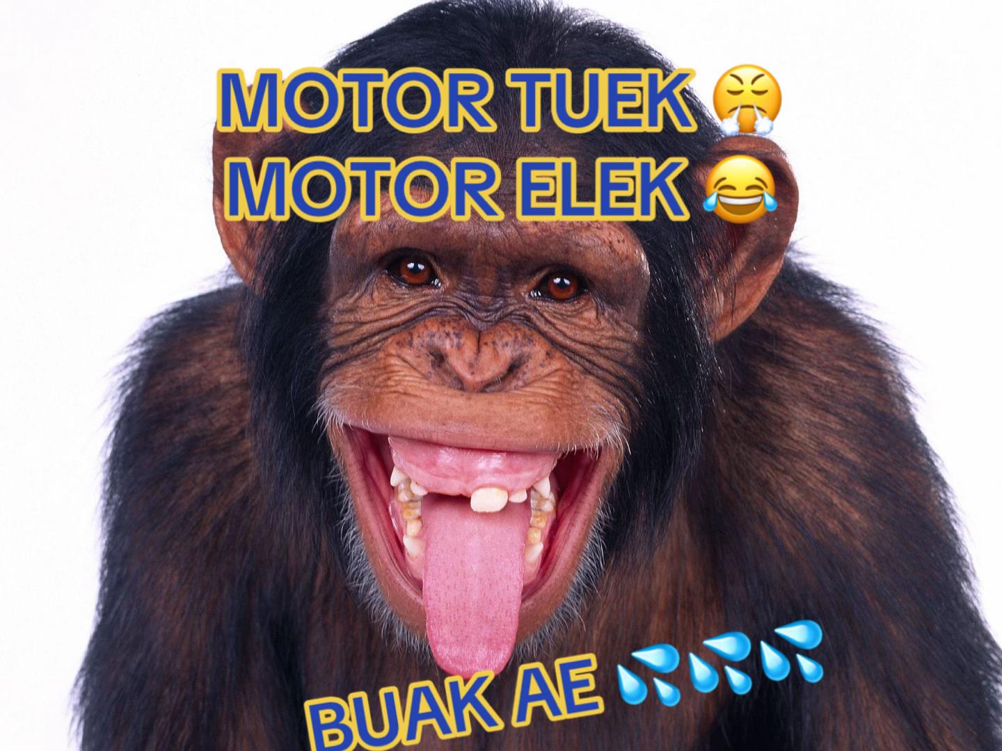 @mr.ajzt