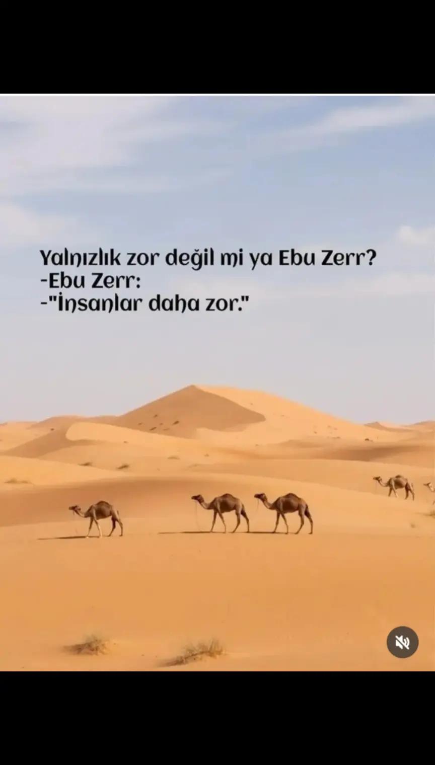 @EL_VEKİL☝🏻
