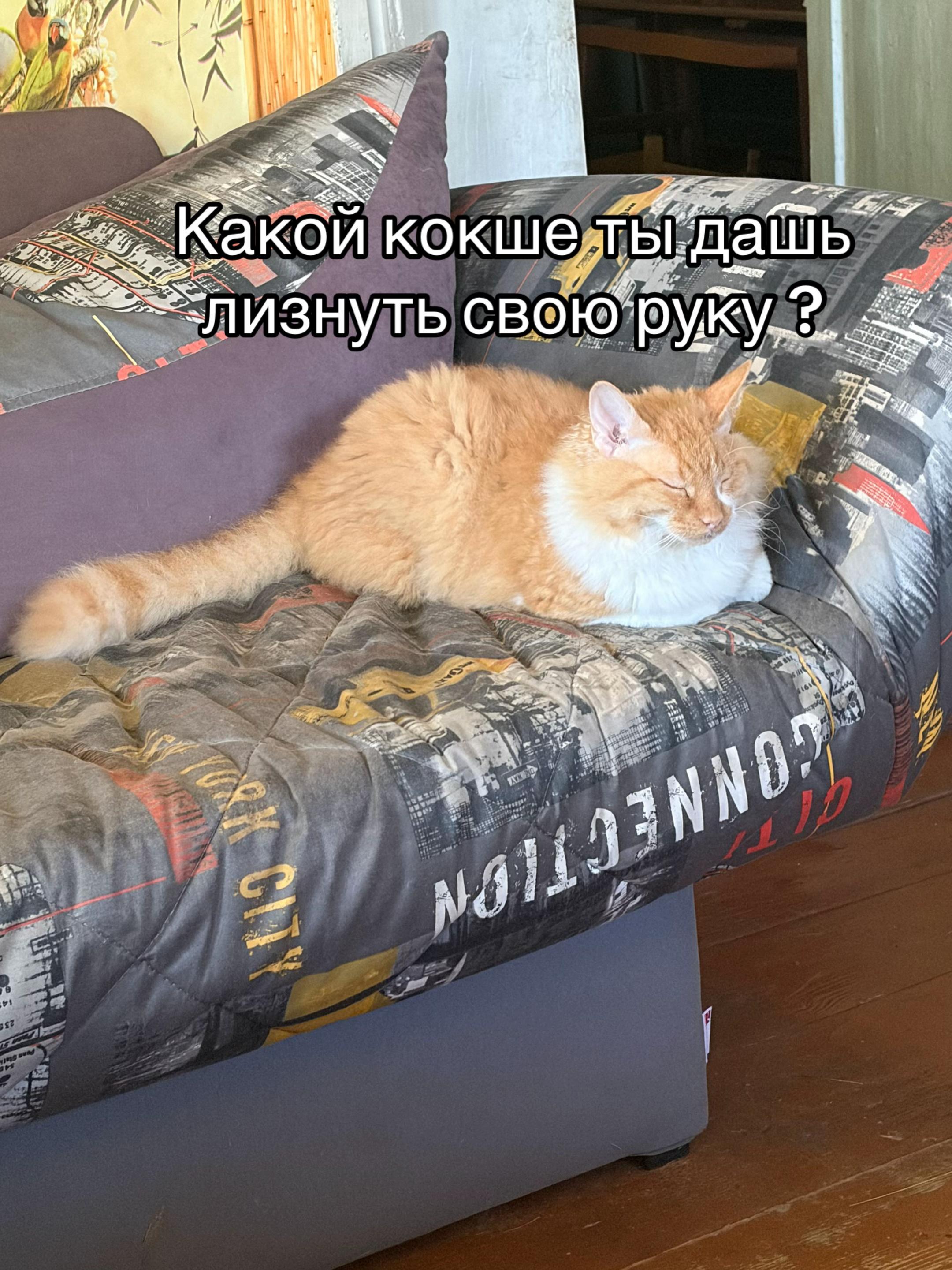 @🦁ᶜᴴᴱᴺᴷᴱ🦁