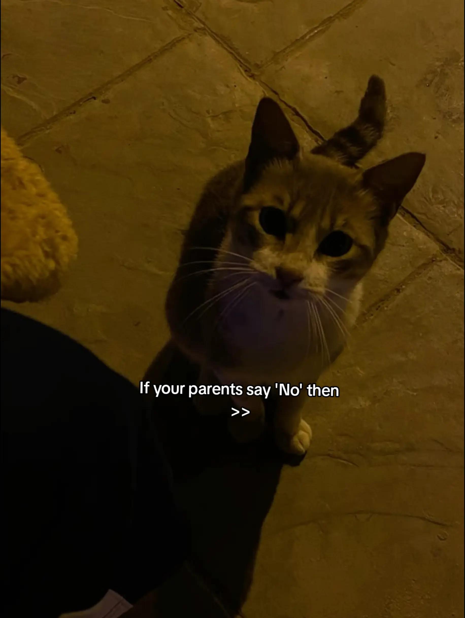 @SAM