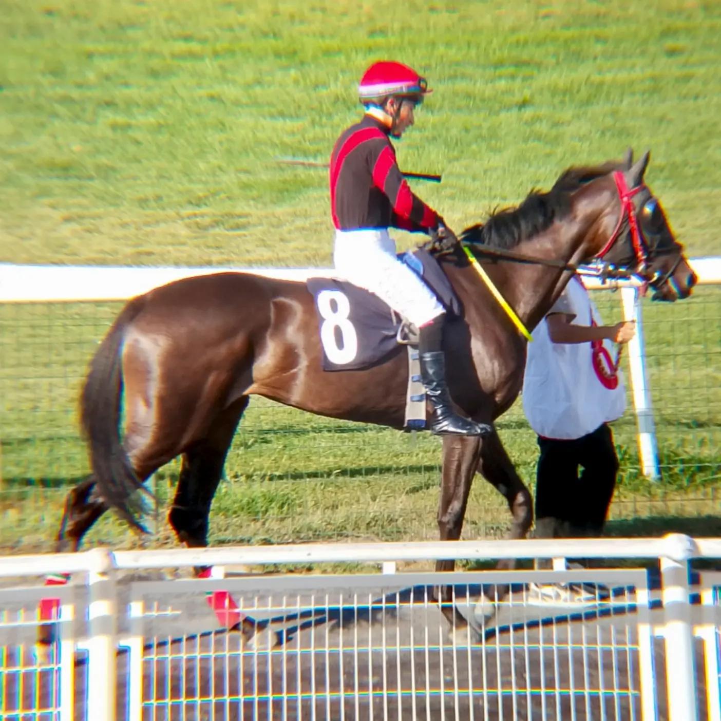 @brs horse racing