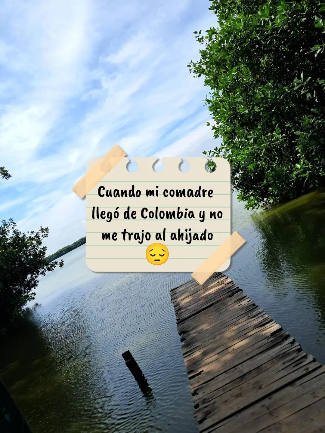 @milddecoraciones