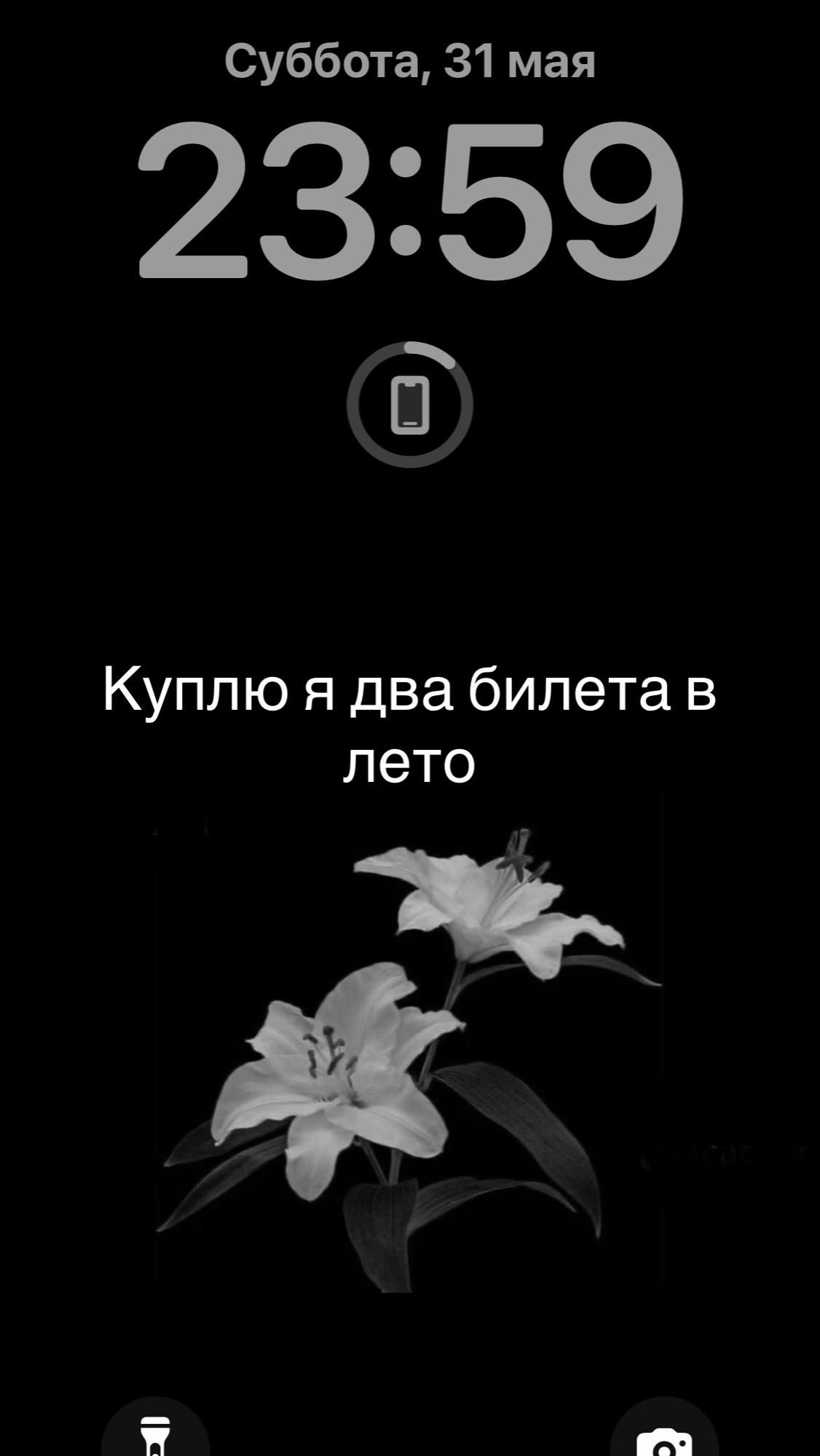 @mashiw