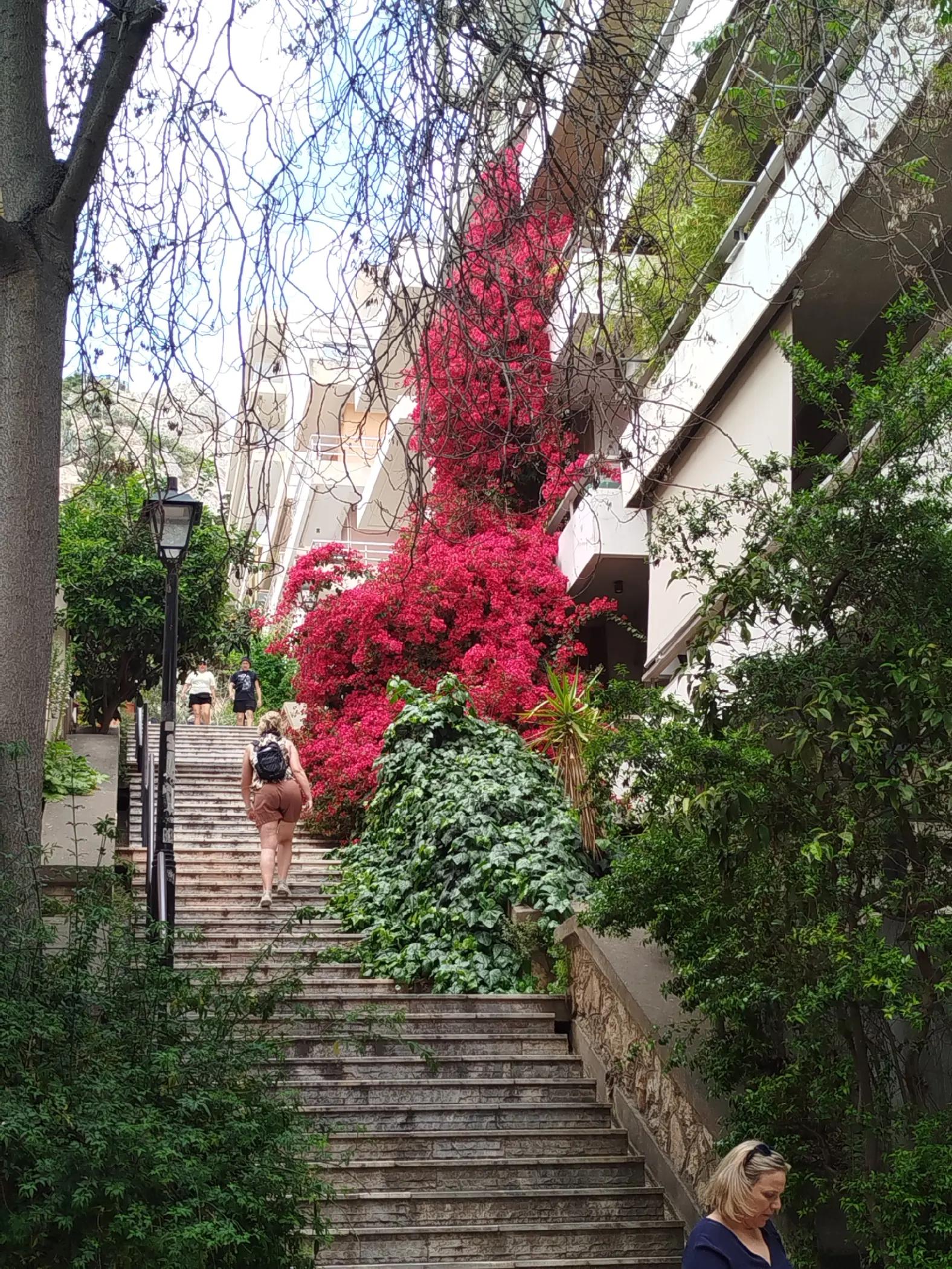 @Βίβιαν