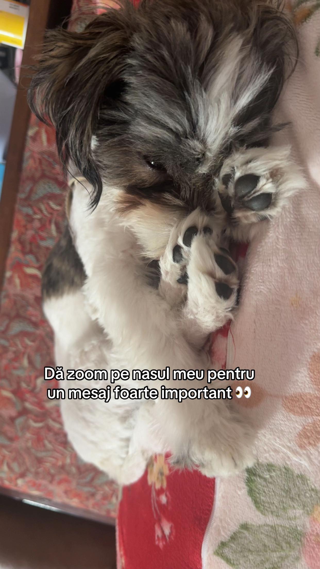 @sandra🦦