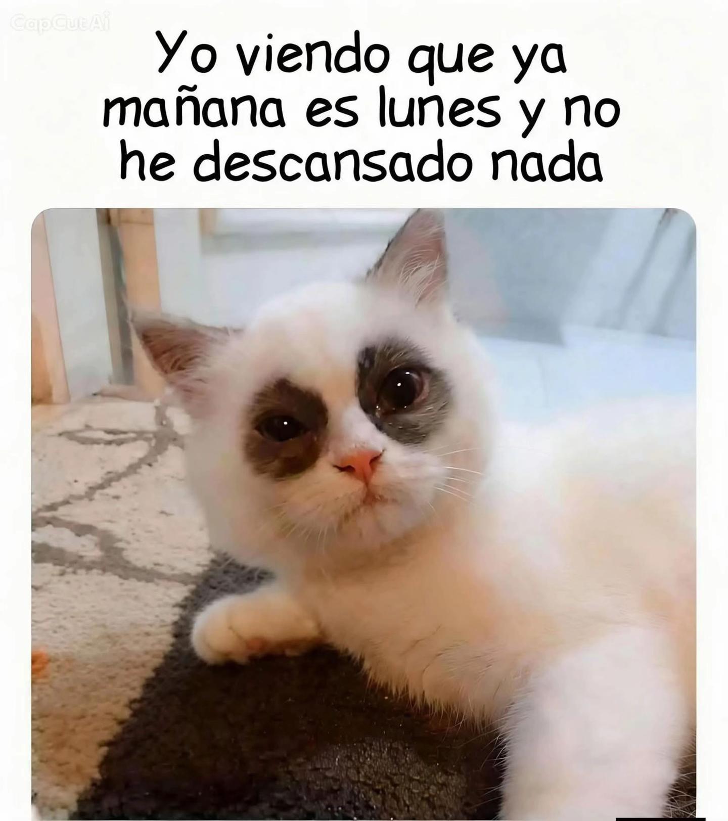 @gabrielmatamoros