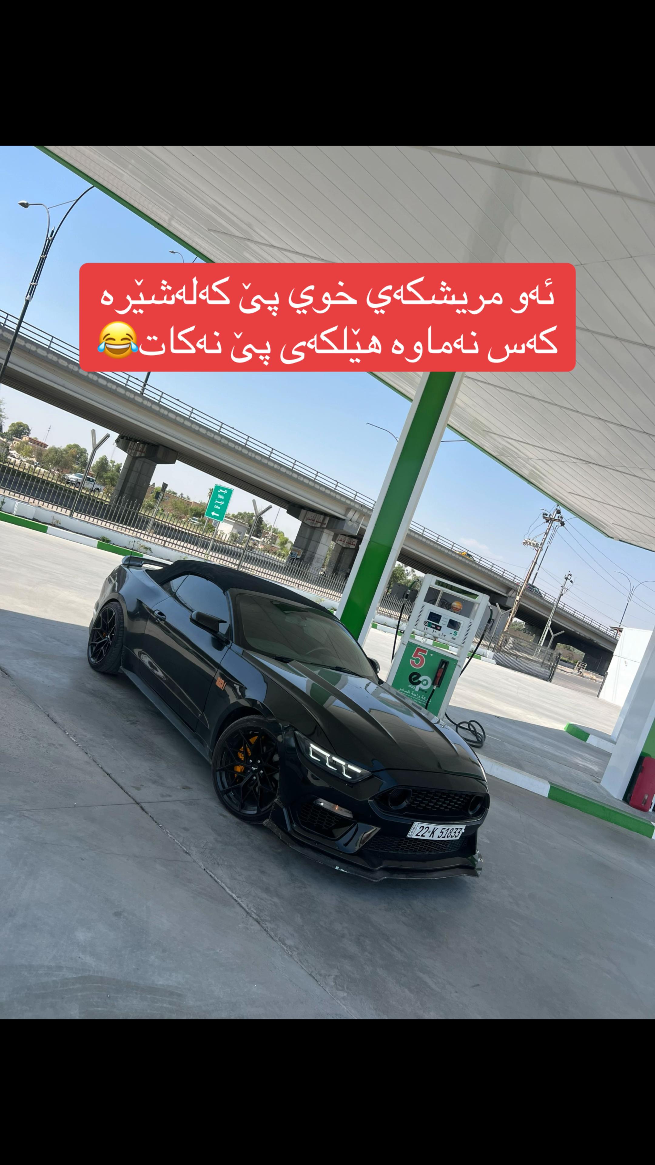 @hamaysheex