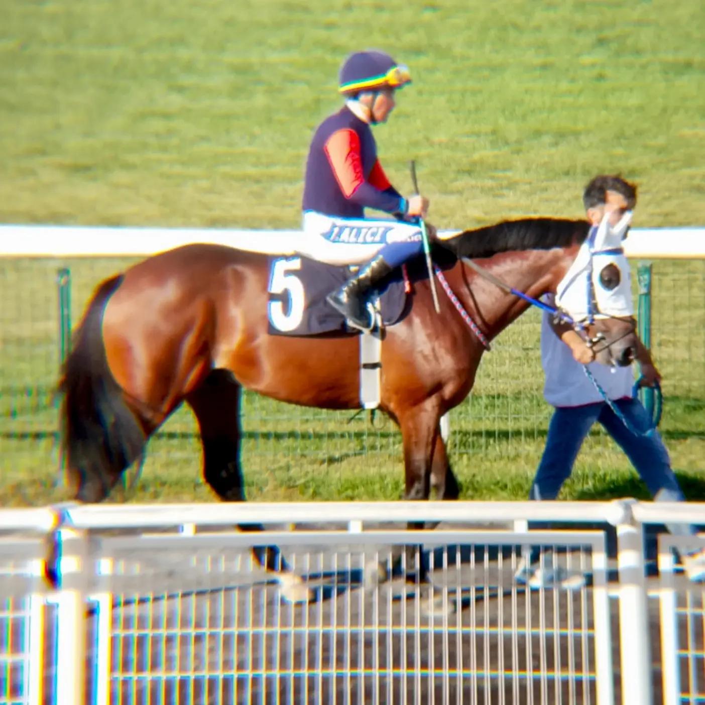 @brs horse racing