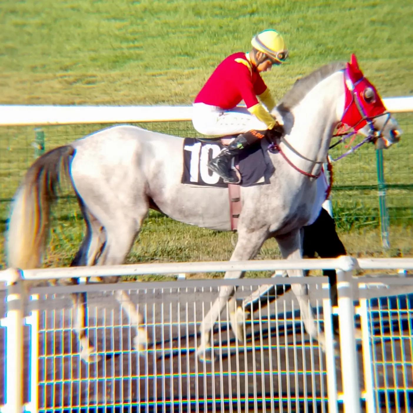 @brs horse racing