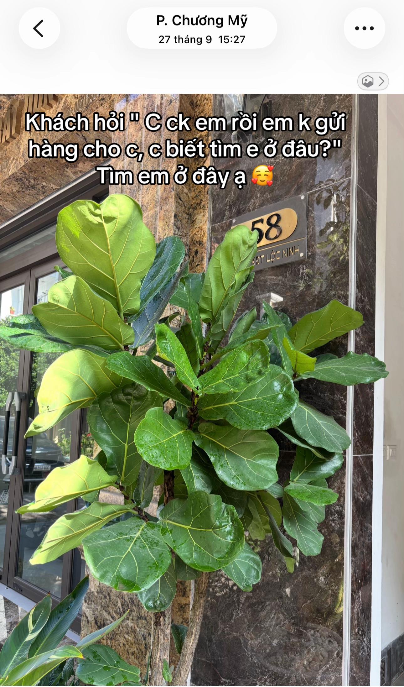 @Nguyen Hai
