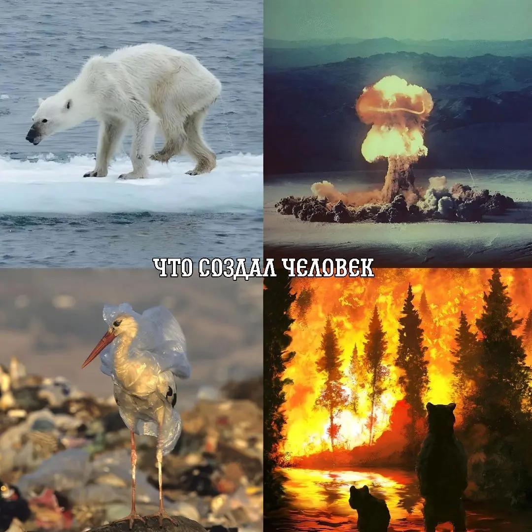 @🗣️ тгк:ᴄᴛᴩᴀнниᴋ