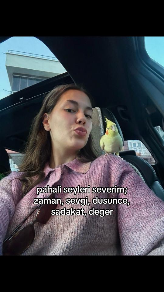 @mavi