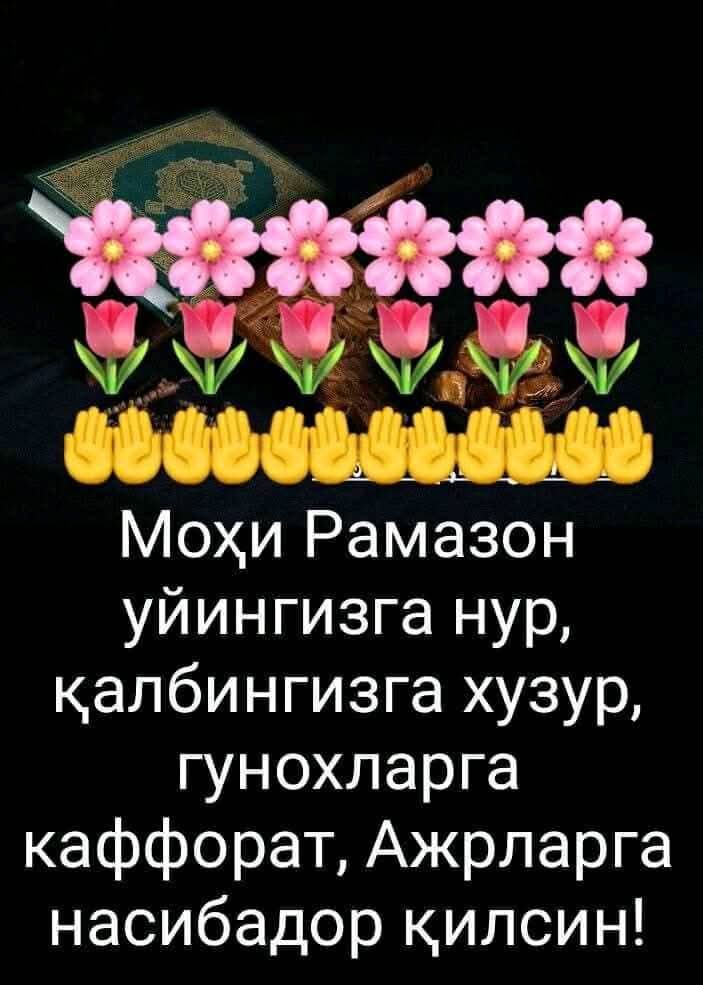 @ЗЕБО 24